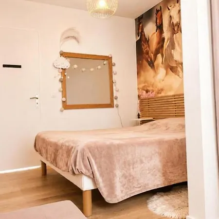 De Le Verseau Apartment Mandelieu